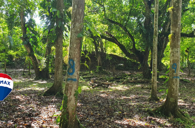 Farms and Ranches for sale in Parrita Costa Rica