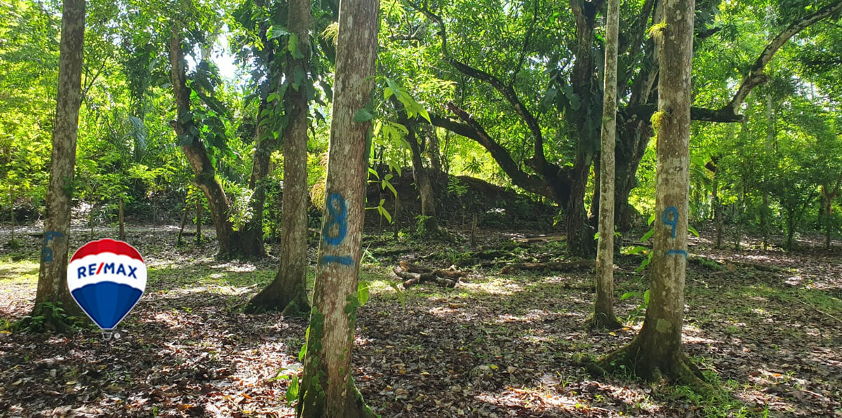 Farms and Ranches for sale in Parrita Costa Rica