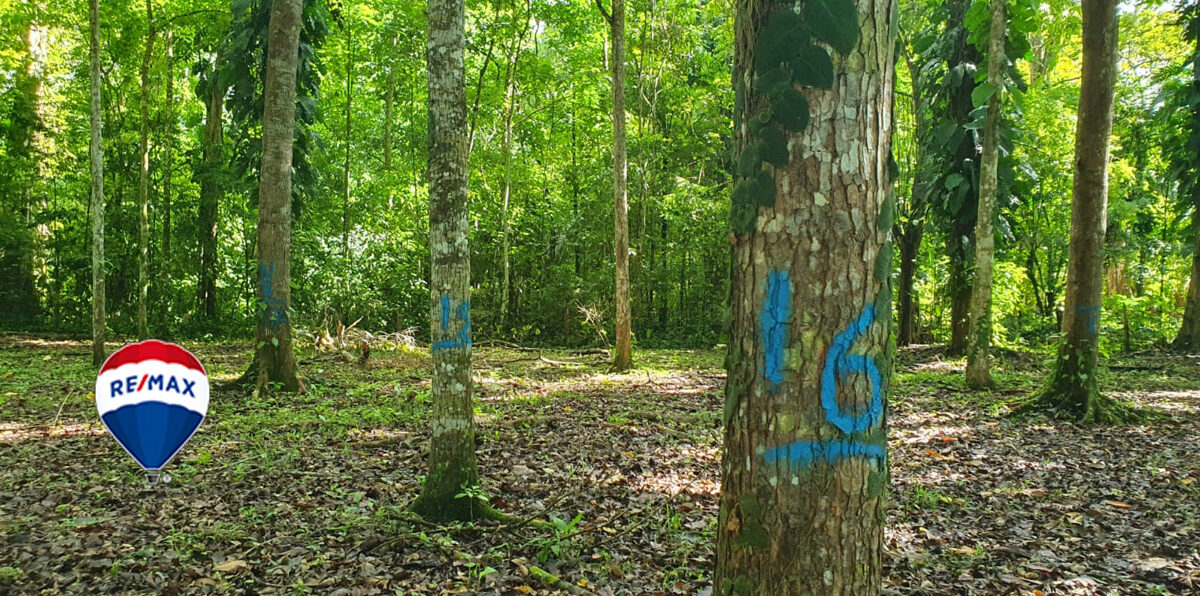 Farms and Ranches for sale in Parrita Costa Rica