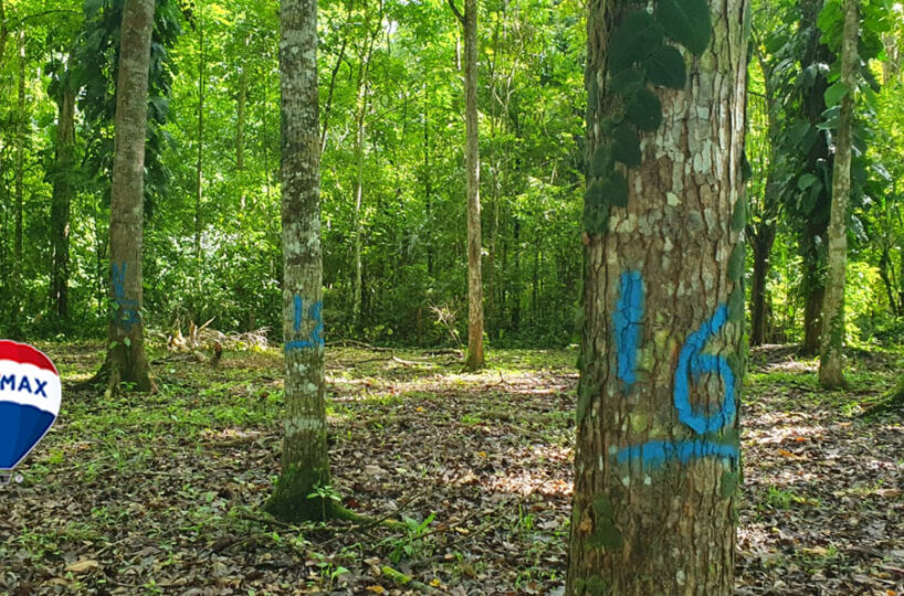 Farms and Ranches for sale in Parrita Costa Rica