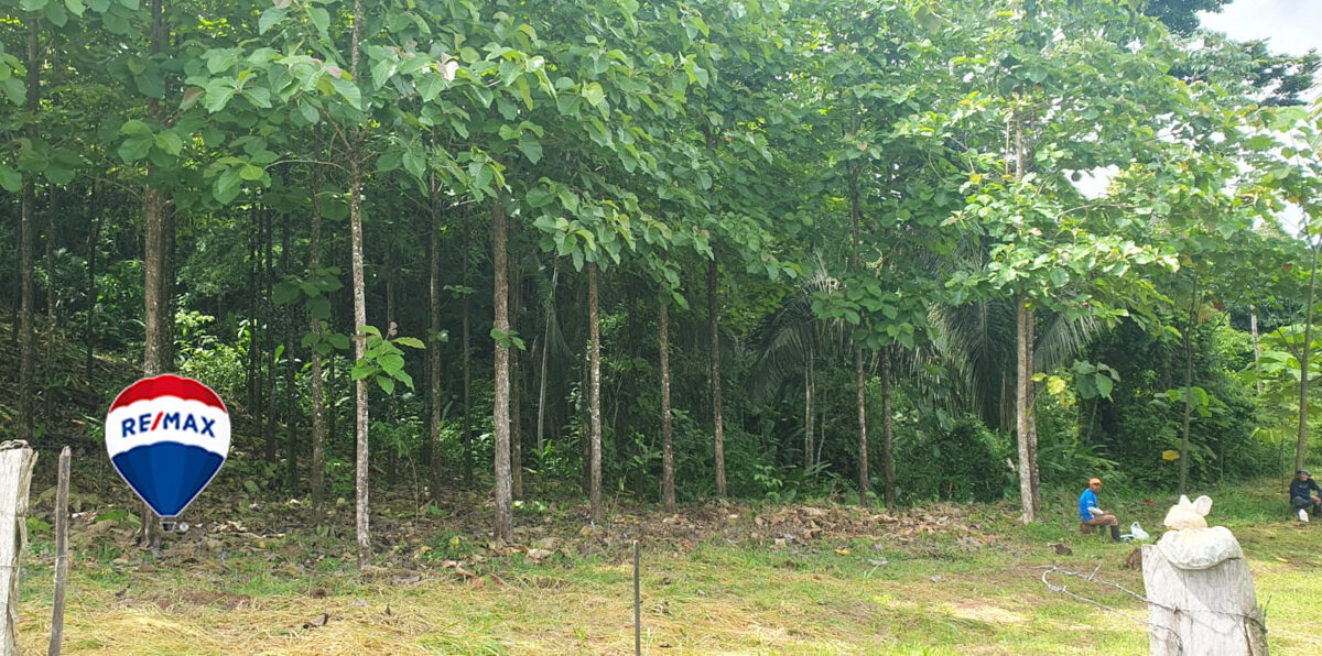 Farms and Ranches for sale in Parrita Costa Rica