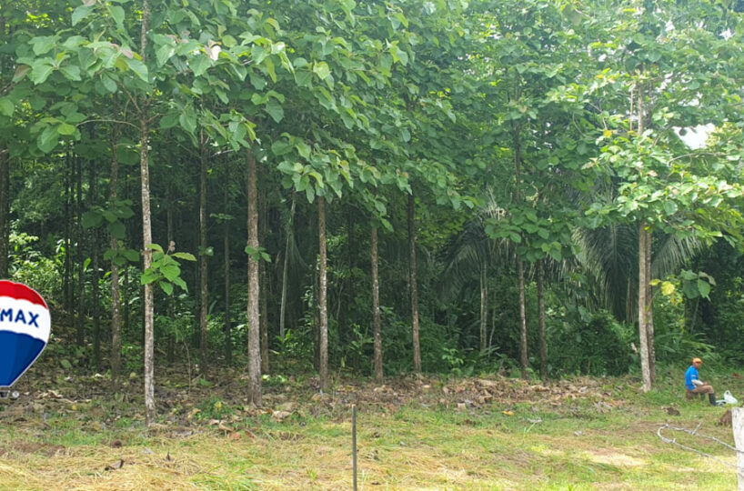 Farms and Ranches for sale in Parrita Costa Rica