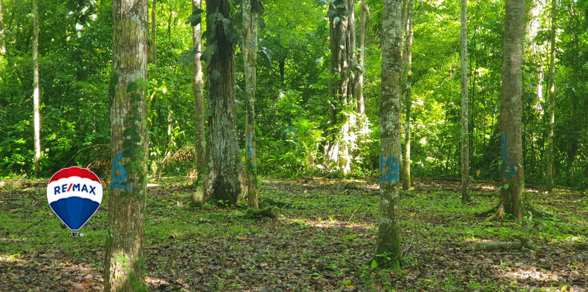 Farms and Ranches for sale in Parrita Costa Rica