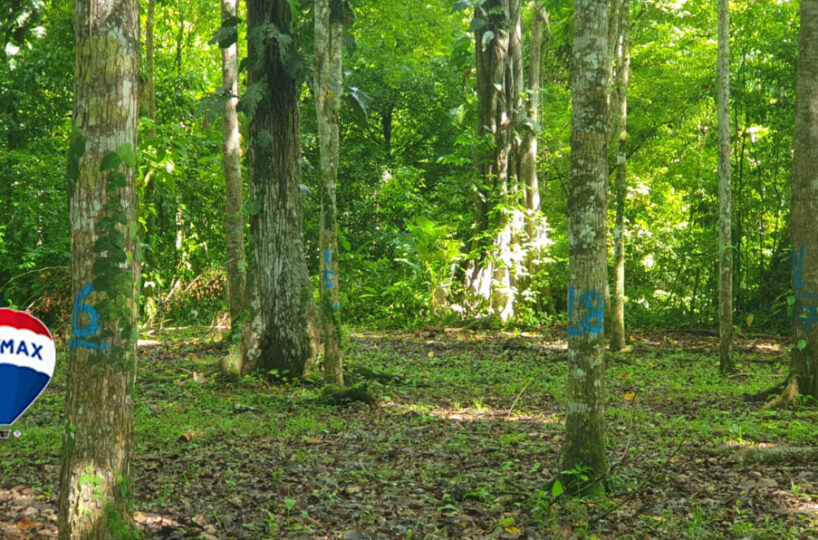 Farms and Ranches for sale in Parrita Costa Rica