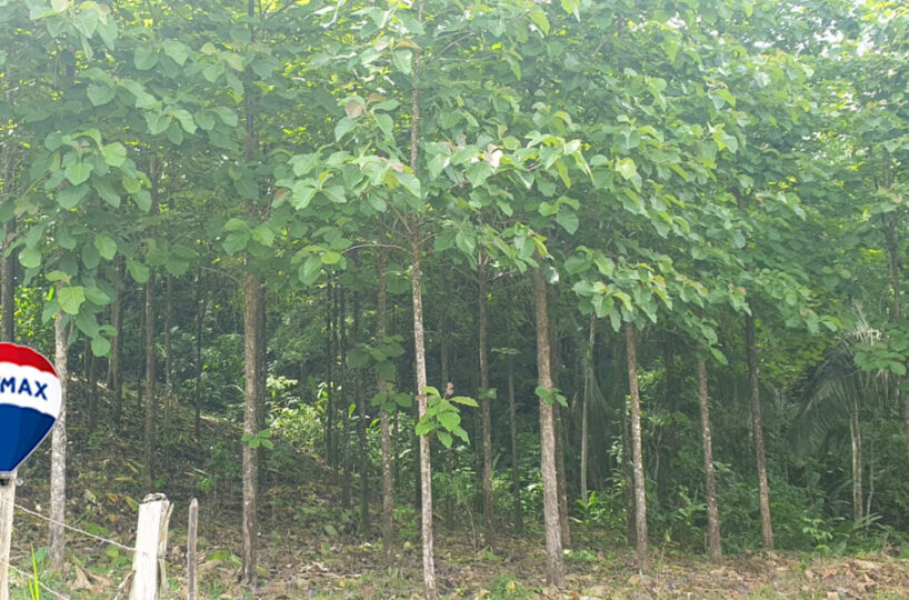 Farms and Ranches for sale in Parrita Costa Rica