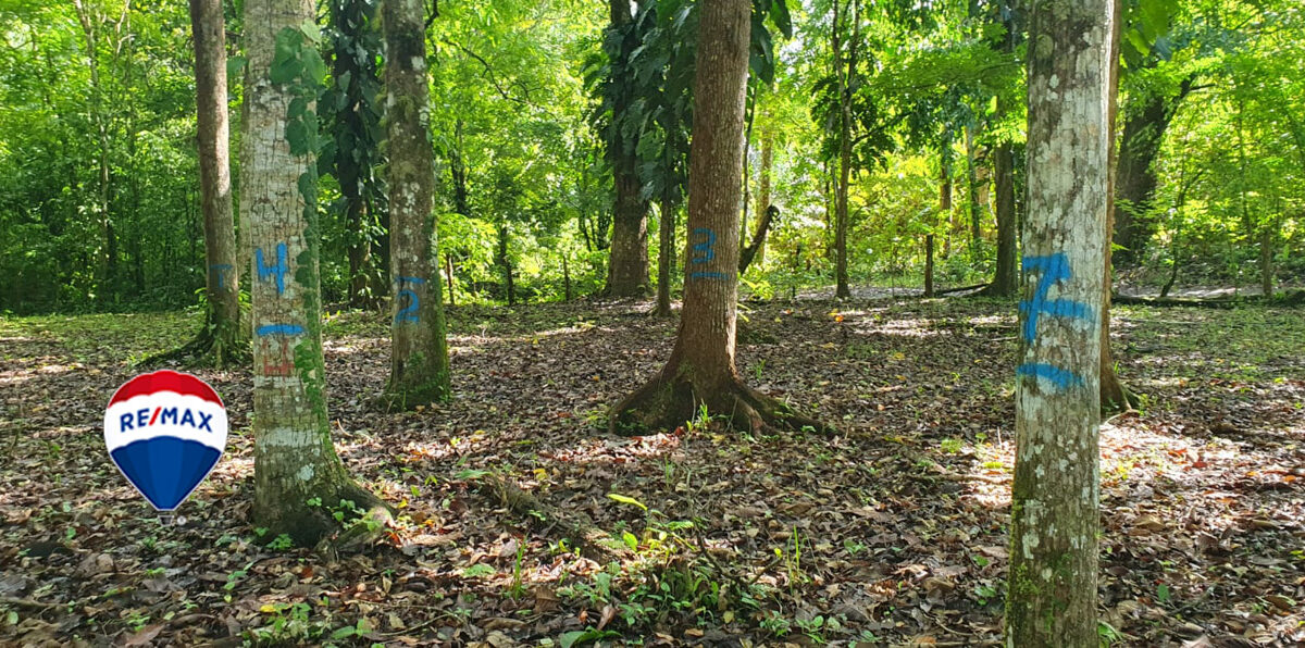 Farms and Ranches for sale in Parrita Costa Rica