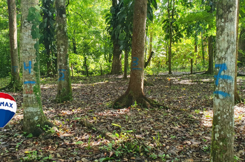 Farms and Ranches for sale in Parrita Costa Rica