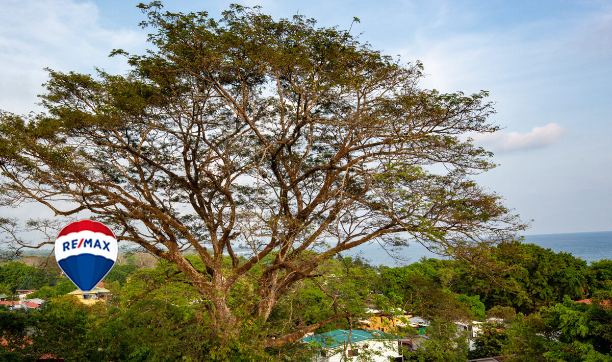 Homes for sale in Esterillos Costa Rica