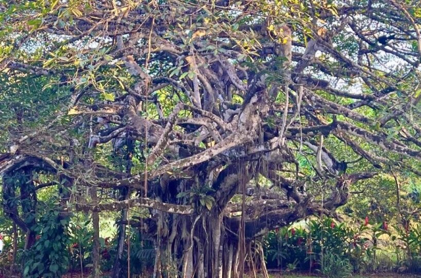 Building Lots for sale in Hermosa Beach Costa Rica