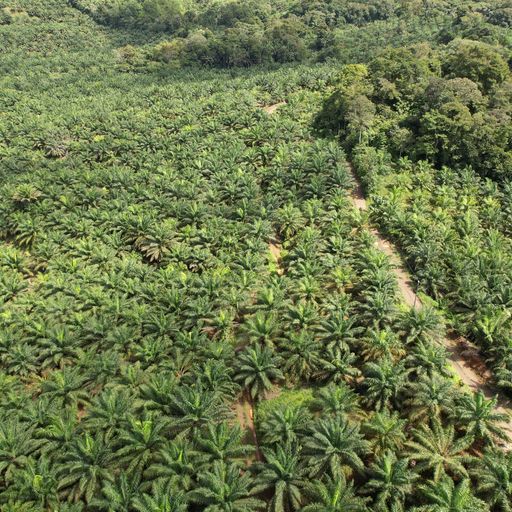 Development LandFarms and Ranches for sale in Parrita Costa Rica