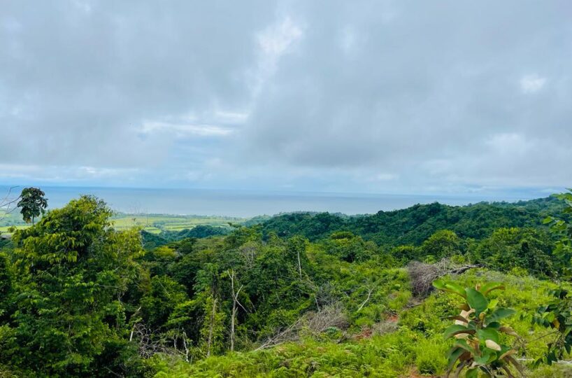 Building Lots for sale in Hermosa Beach Costa Rica
