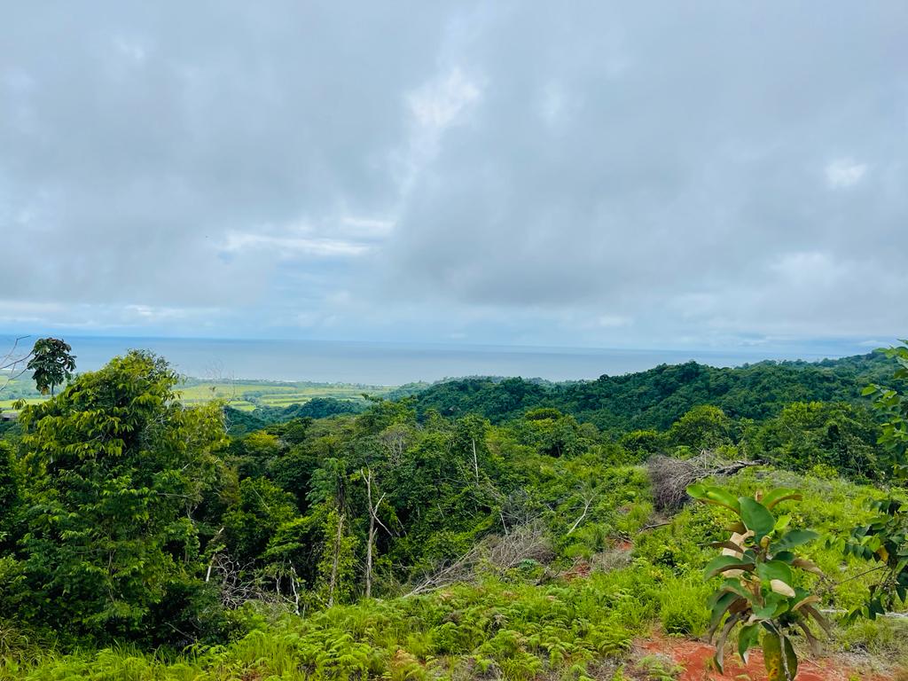 Building Lots for sale in Hermosa Beach Costa Rica