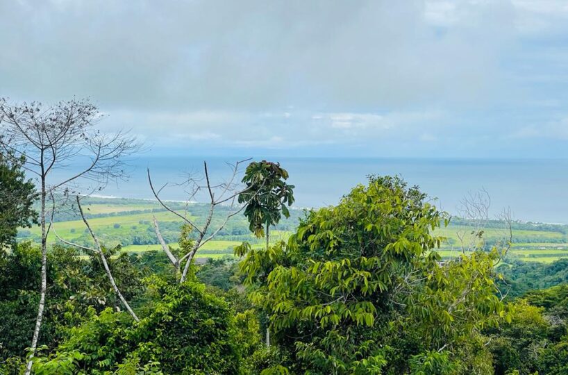 Building Lots for sale in Hermosa Beach Costa Rica