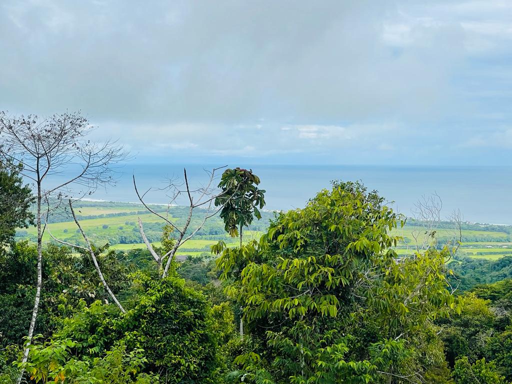 Building Lots for sale in Hermosa Beach Costa Rica