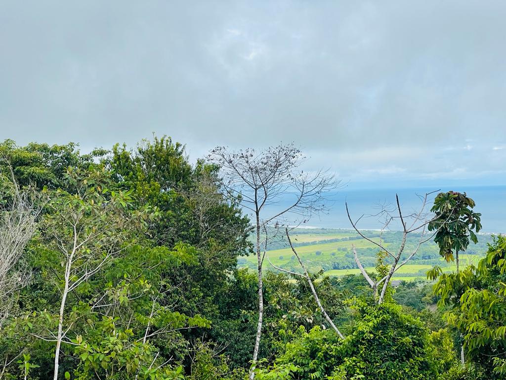 Building Lots for sale in Hermosa Beach Costa Rica
