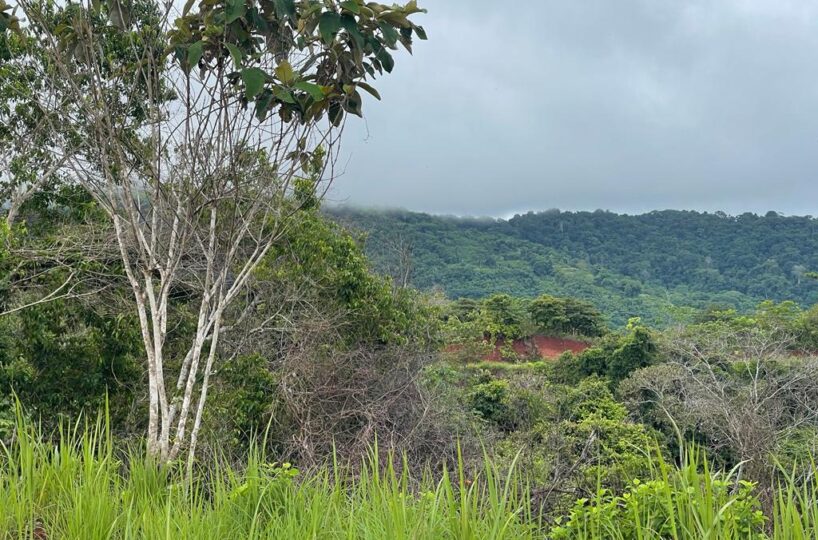 Building Lots for sale in Hermosa Beach Costa Rica