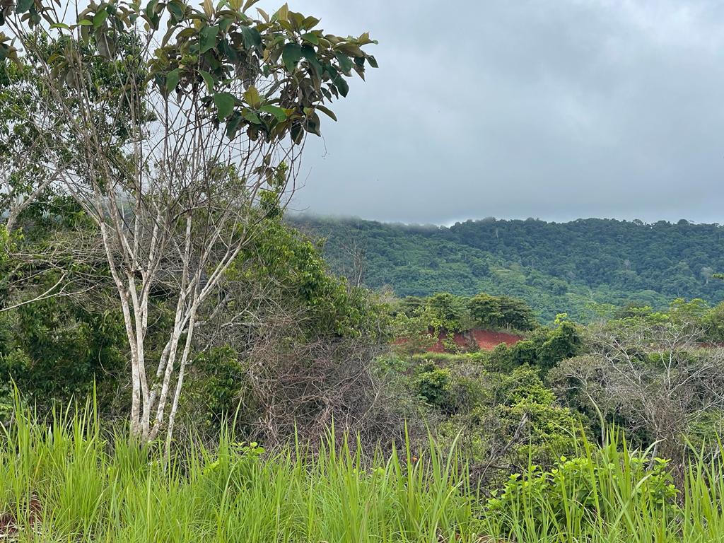 Building Lots for sale in Hermosa Beach Costa Rica