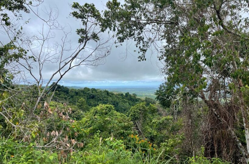 Building Lots for sale in Hermosa Beach Costa Rica