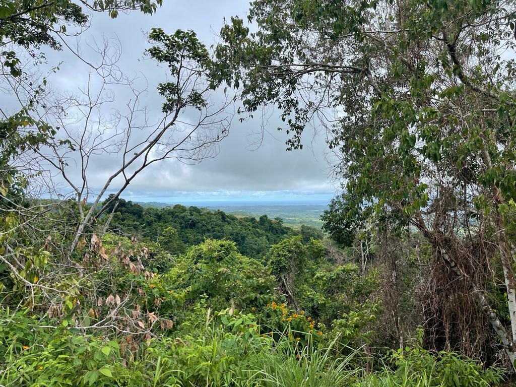 Building Lots for sale in Hermosa Beach Costa Rica