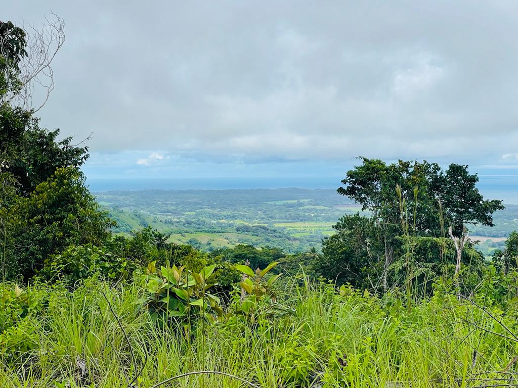 Building Lots for sale in Hermosa Beach Costa Rica