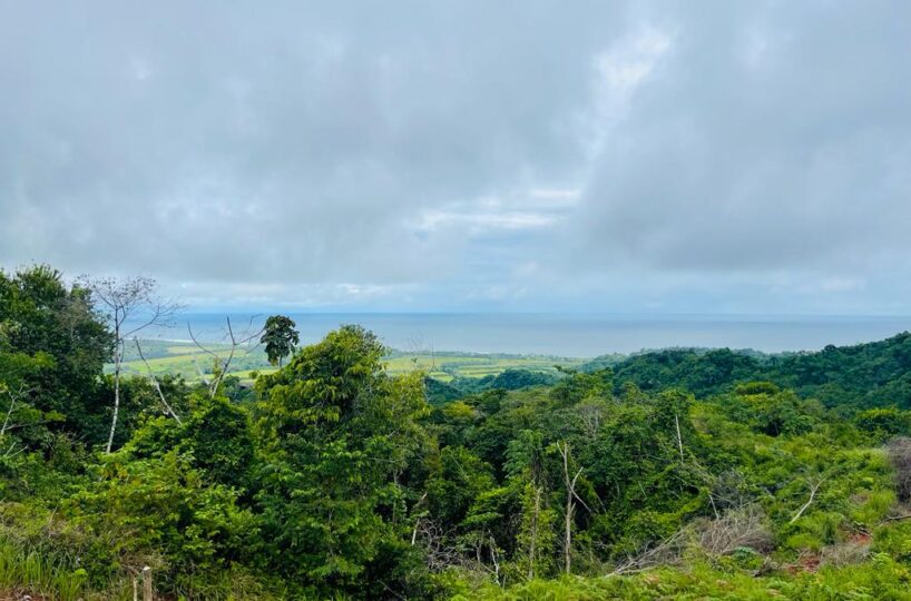 Building Lots for sale in Hermosa Beach Costa Rica