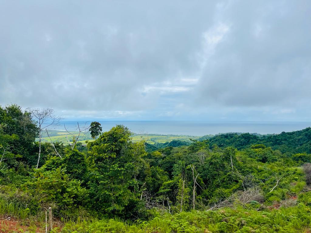 Building Lots for sale in Hermosa Beach Costa Rica