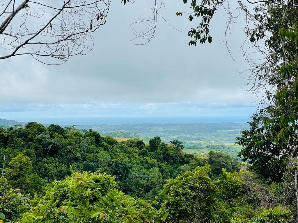 Building Lots for sale in Hermosa Beach Costa Rica