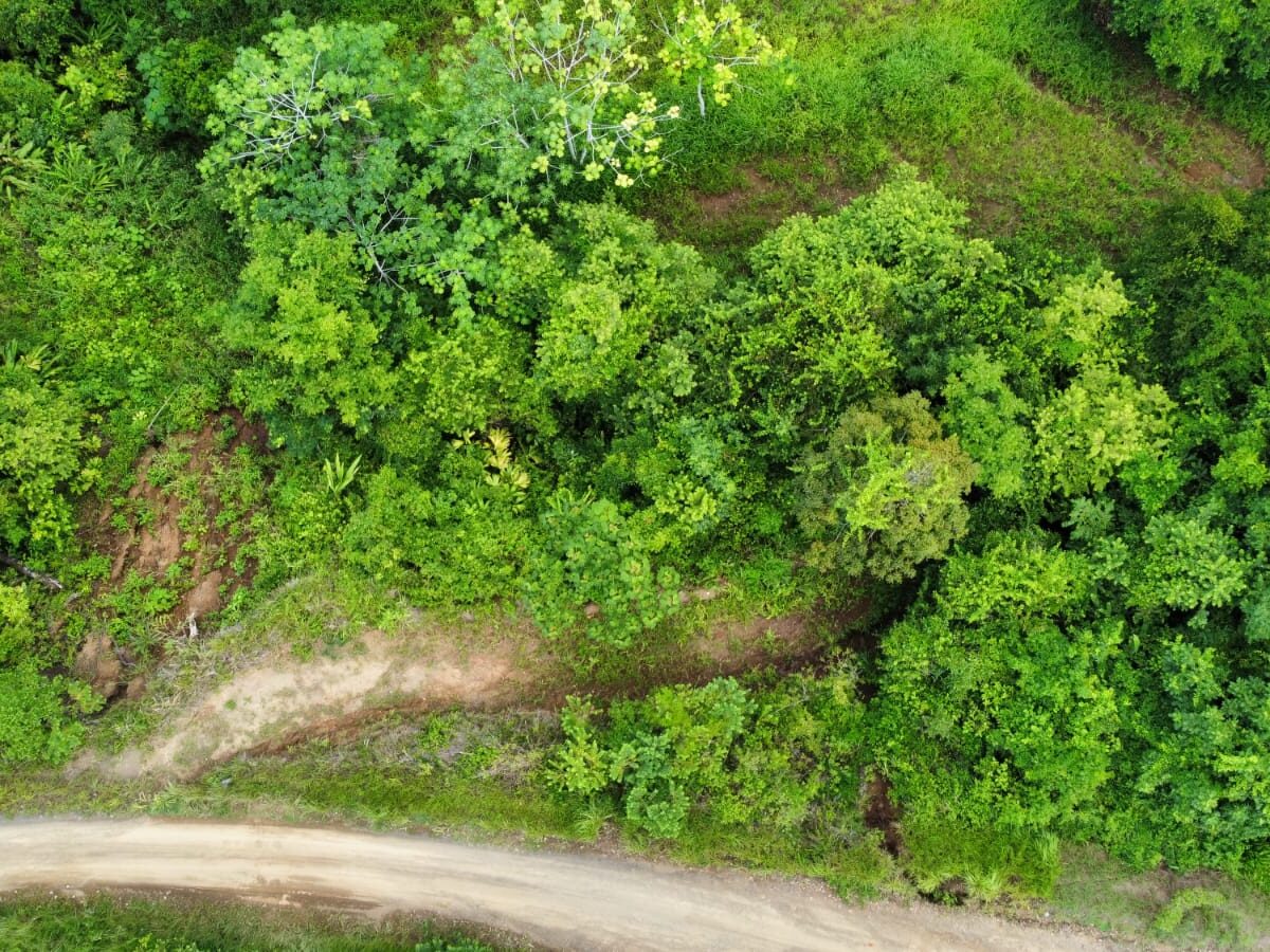 Development Land for sale in Hermosa Beach Costa Rica