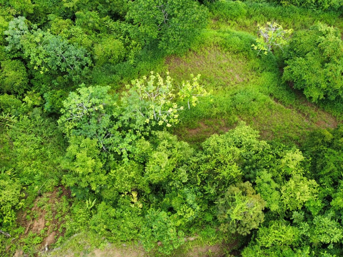 Development Land for sale in Hermosa Beach Costa Rica