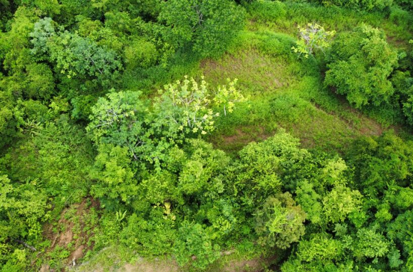 Development Land for sale in Hermosa Beach Costa Rica