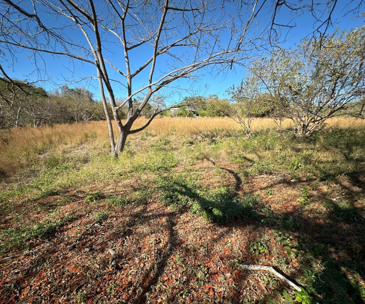 Building Lots for sale in Tarcoles Costa Rica