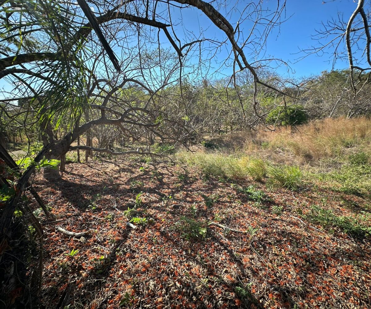 Building Lots for sale in Tarcoles Costa Rica