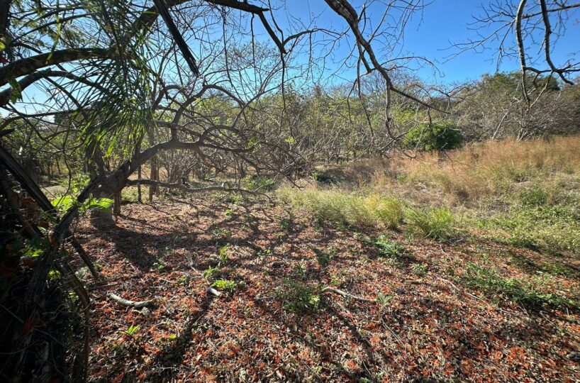 Building Lots for sale in Tarcoles Costa Rica