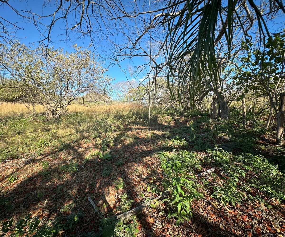 Building Lots for sale in Tarcoles Costa Rica