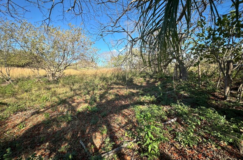 Building Lots for sale in Tarcoles Costa Rica