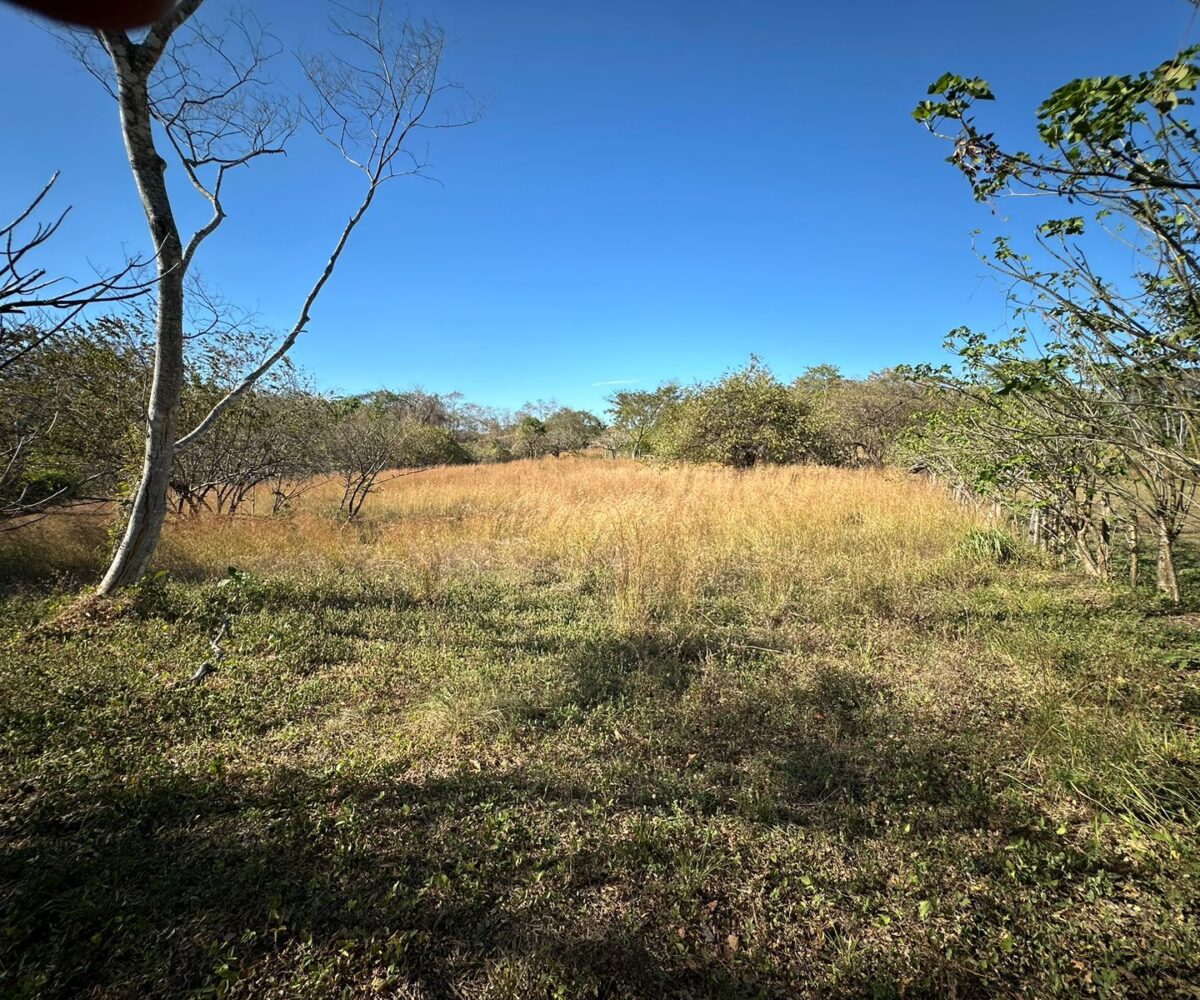 Building Lots for sale in Tarcoles Costa Rica