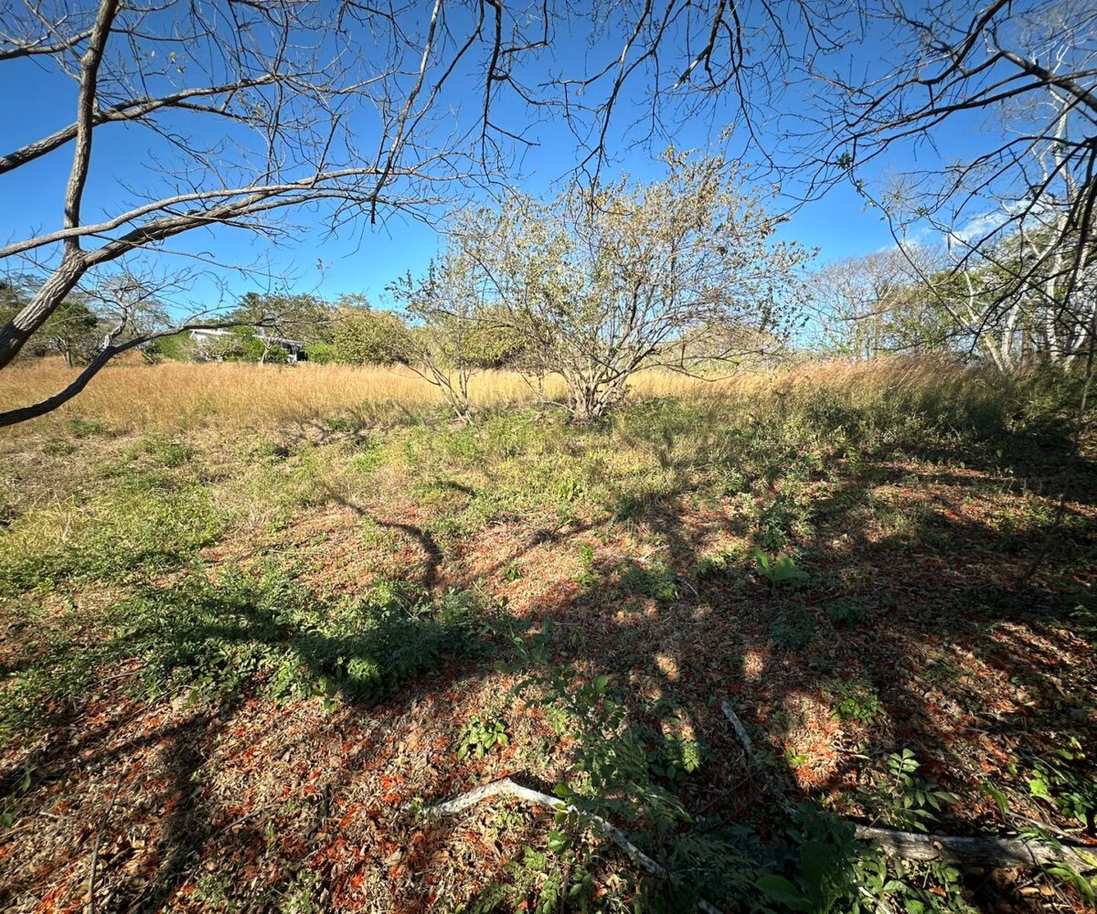 Building Lots for sale in Tarcoles Costa Rica