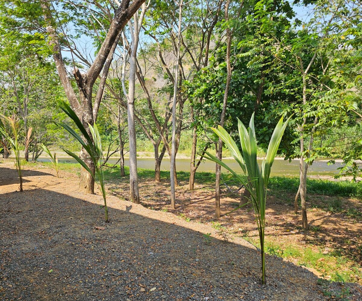 Homes for sale in Hermosa Beach Costa Rica