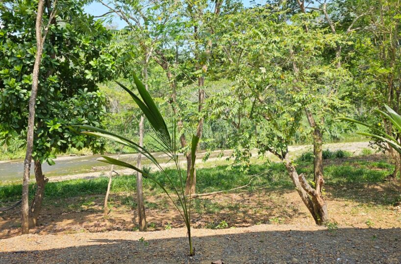 Homes for sale in Hermosa Beach Costa Rica