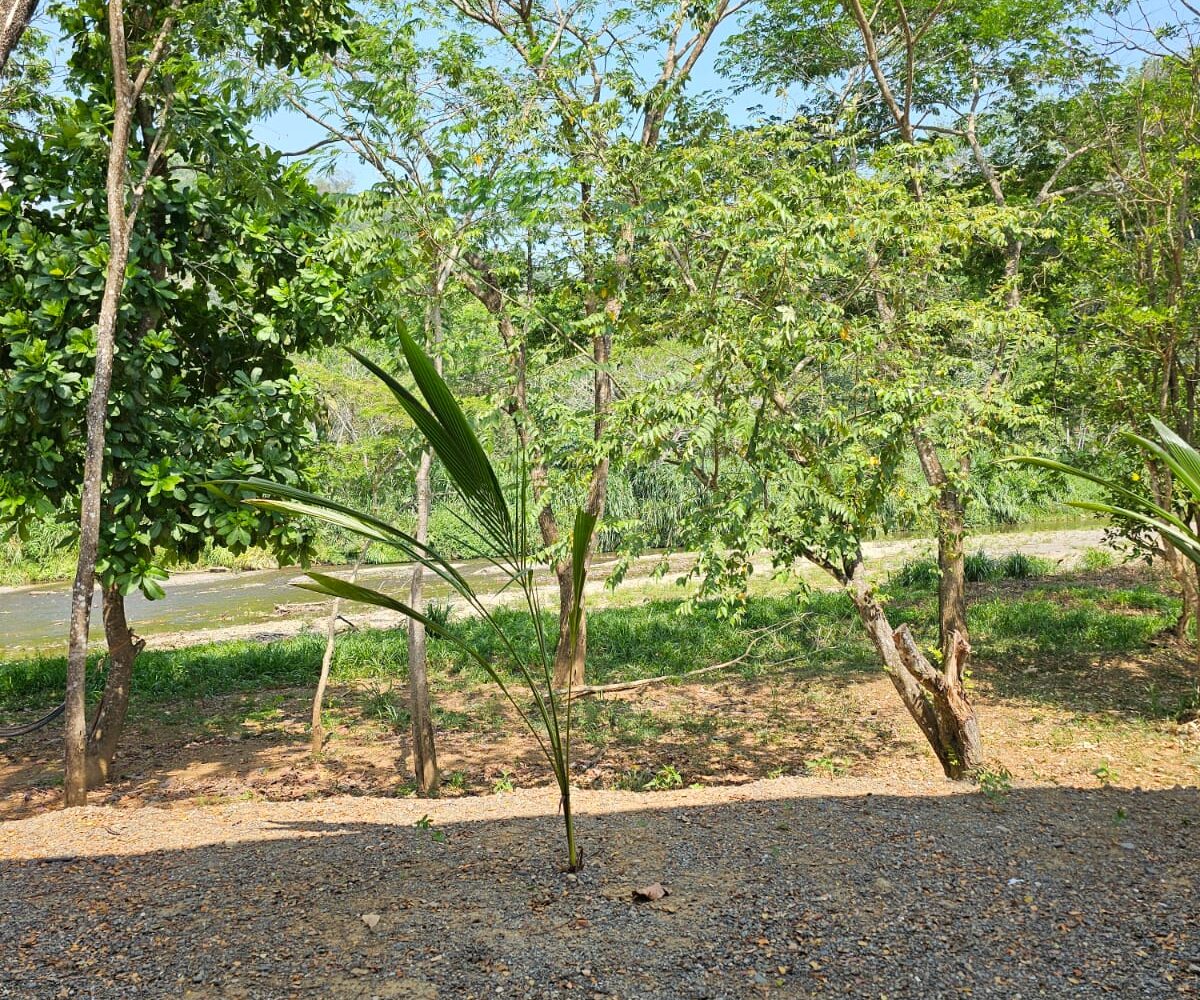 Homes for sale in Hermosa Beach Costa Rica