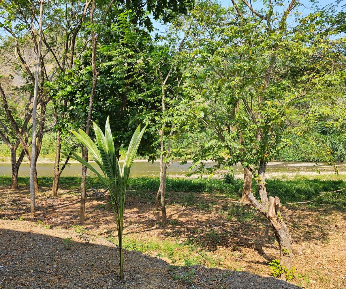 Homes for sale in Hermosa Beach Costa Rica