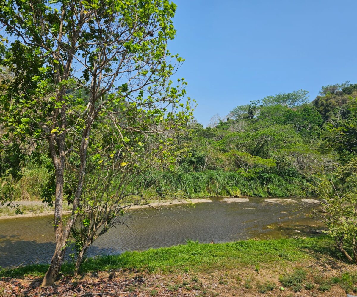 Homes for sale in Hermosa Beach Costa Rica