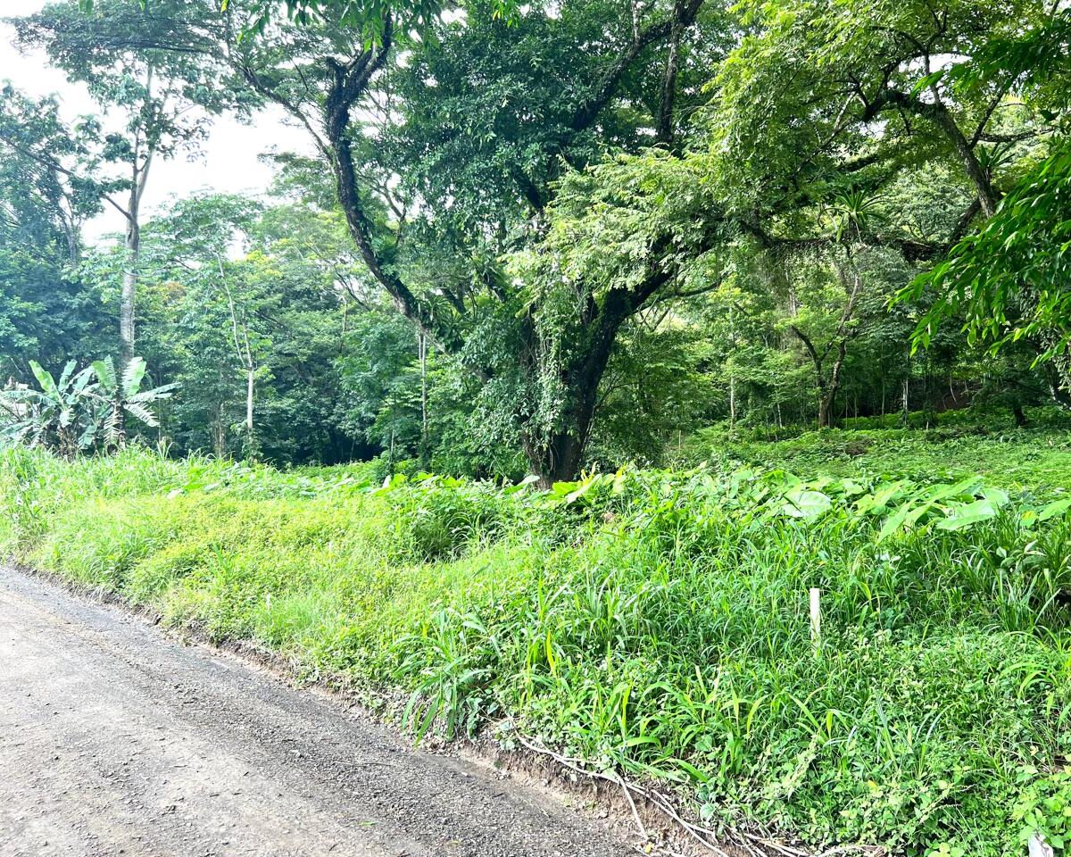 Building Lots for sale in Punta Leona Costa Rica