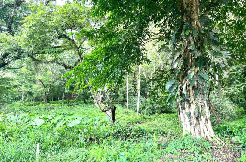 Building Lots for sale in Punta Leona Costa Rica