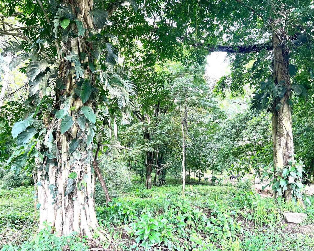 Building Lots for sale in Punta Leona Costa Rica