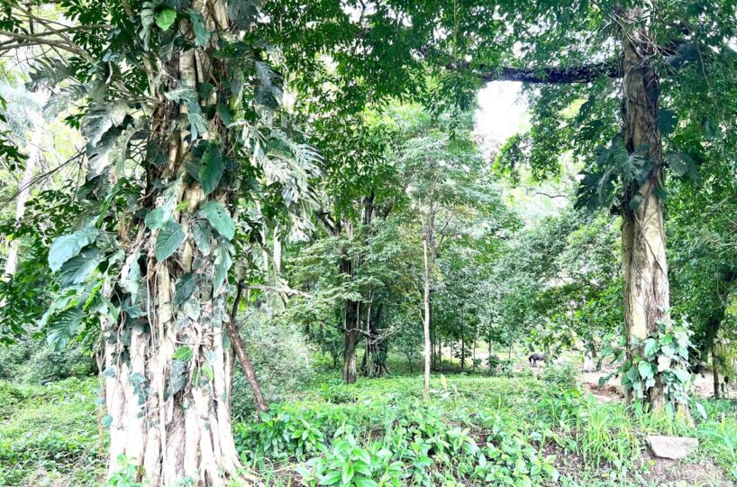 Building Lots for sale in Punta Leona Costa Rica