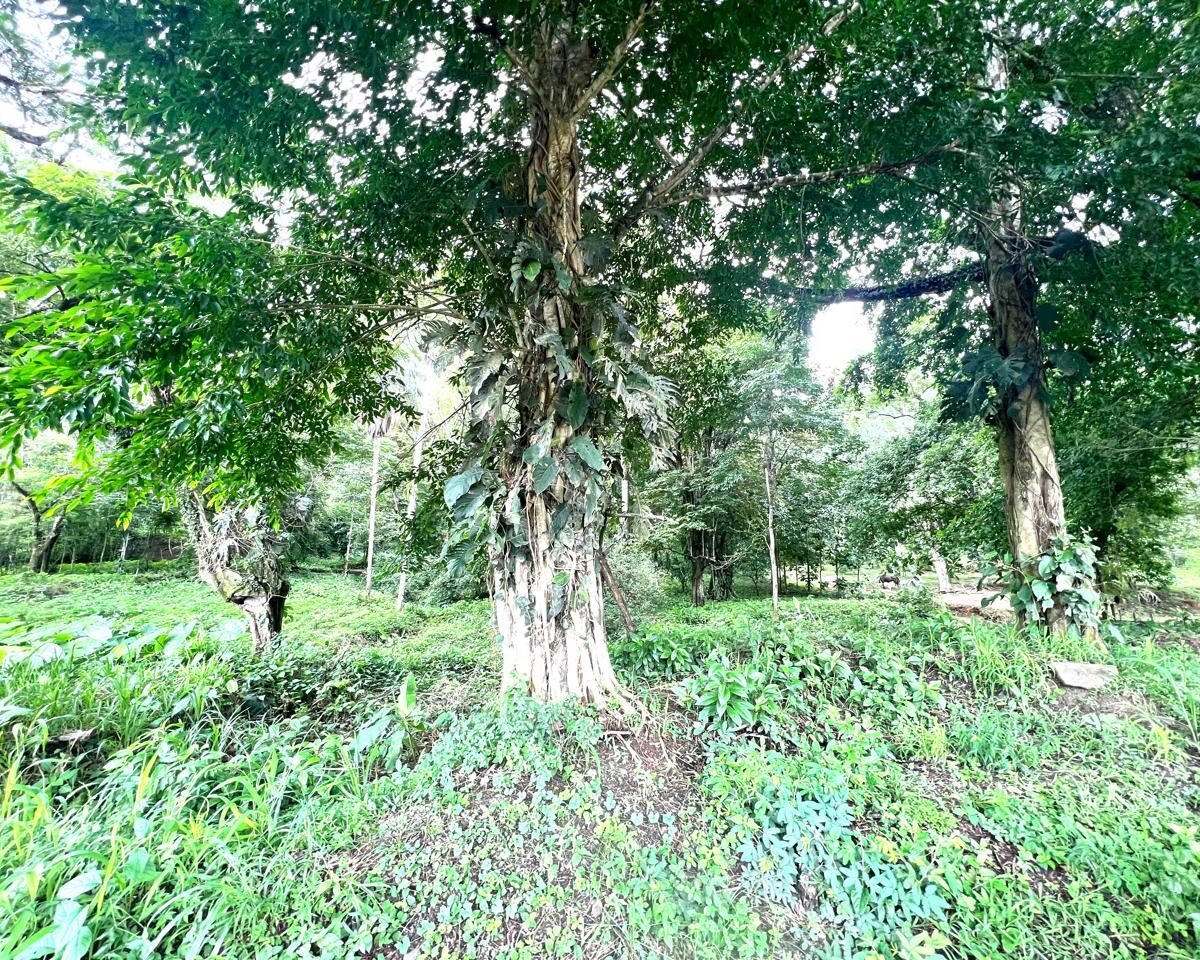 Building Lots for sale in Punta Leona Costa Rica