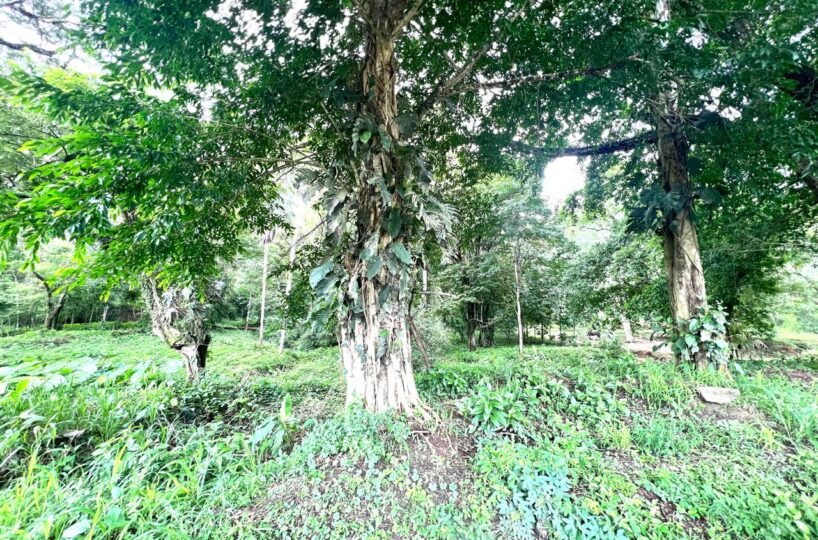 Building Lots for sale in Punta Leona Costa Rica