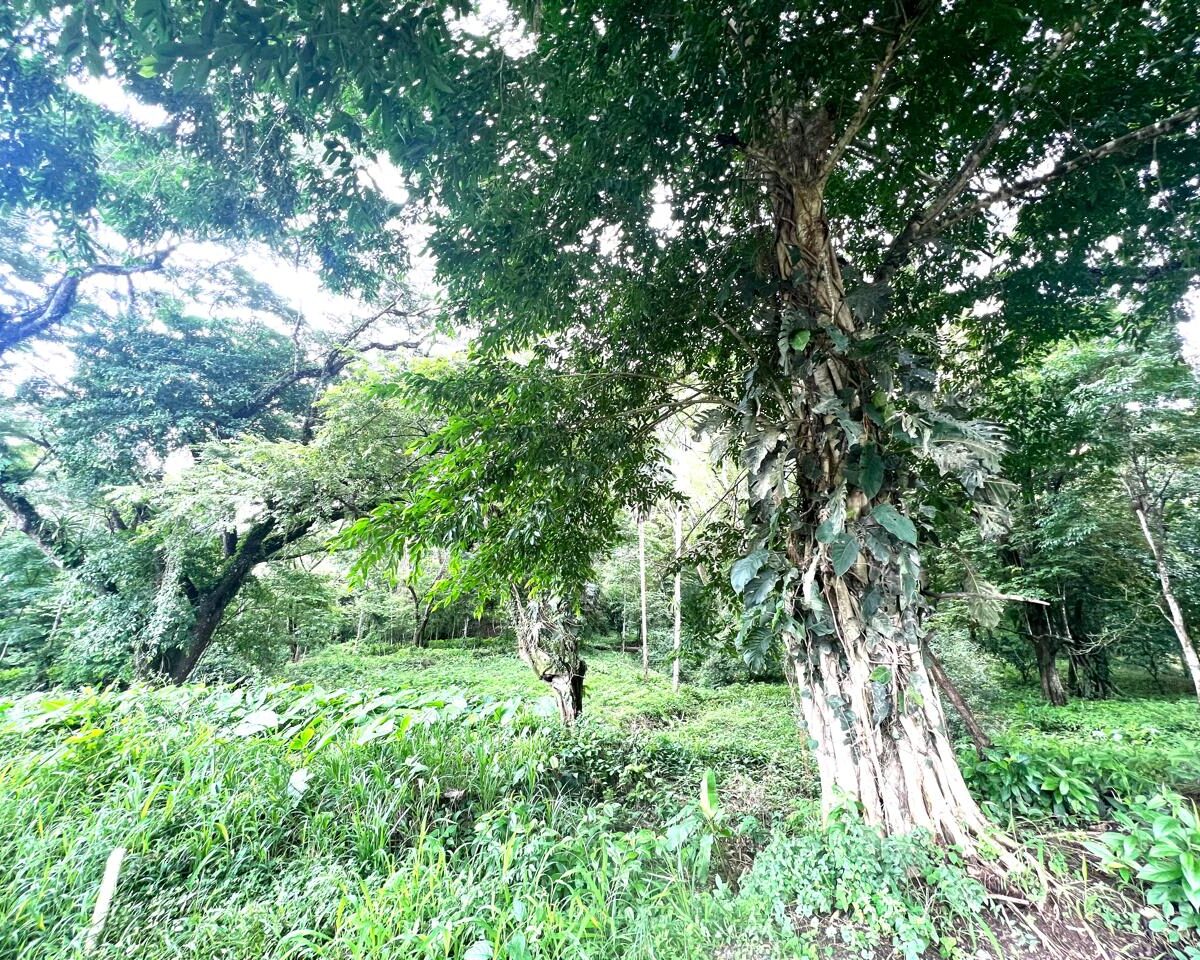 Building Lots for sale in Punta Leona Costa Rica