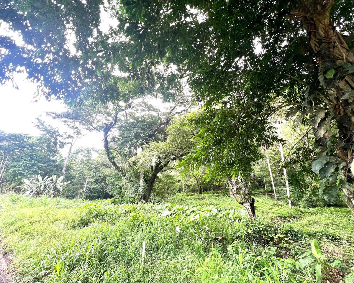 Building Lots for sale in Punta Leona Costa Rica